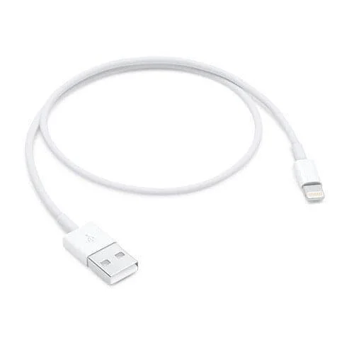 Apple Lightning to USB Cable (0.5 m)