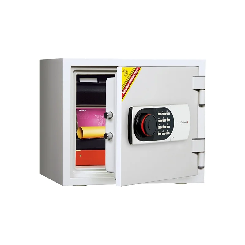 Standard Safe Diplomat 119E